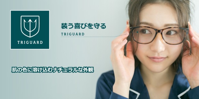 トライガードのイメージ写真