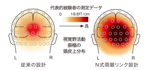 脳磁計による測定データ_代表的被験者の測定データ