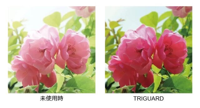 晴天下での花の見え方比較。トライガードはコントラストUP