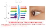 伊藤光学のブルーライトカット、カット率17％（平均36％カット）