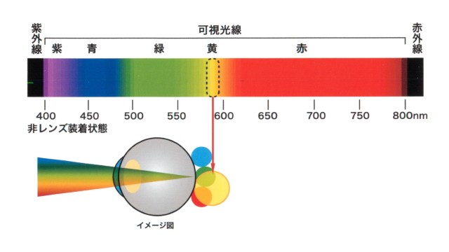 水晶体の黄変と見え方の変化