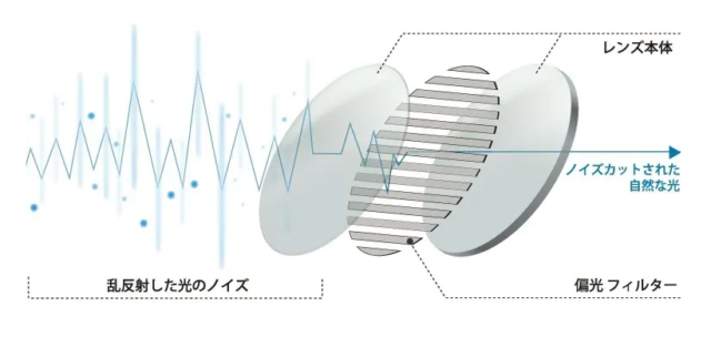 偏光レンズが乱反射する光をカットする構造説明の図