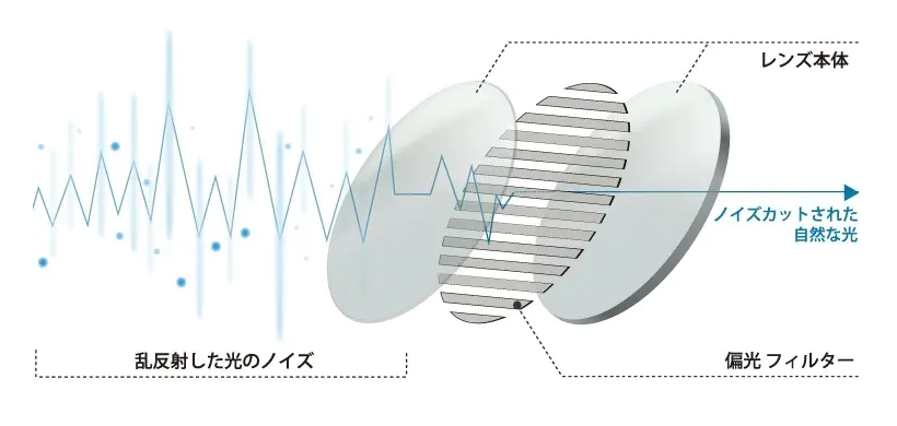 偏光レンズの仕組みと構造