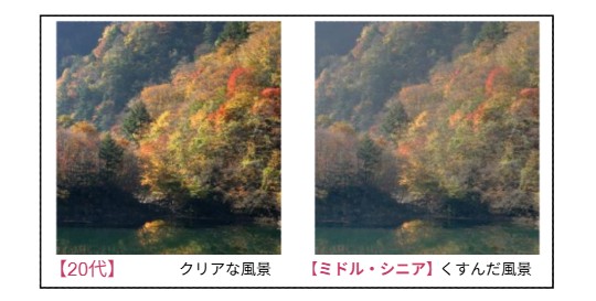 20代の眼ではクッキリした風景、シニア・ミドル世代はくすんだ風景