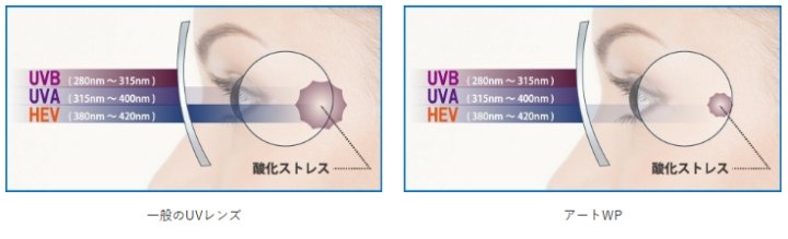 アートWPのHEV420カット比較。色素劣化の原因である酸化ストレスを抑える効果が期待される。