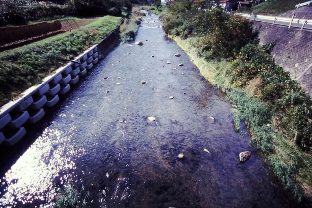 雑光が乱反射する松江市の川面の様子