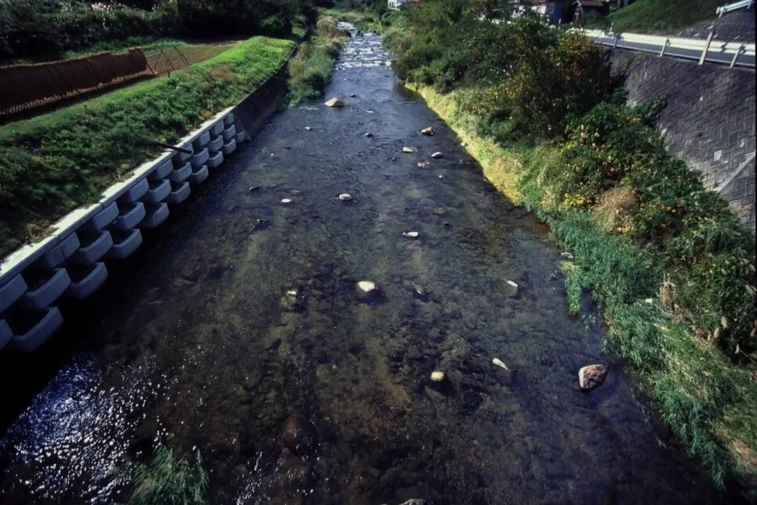 ペイル50の偏光機能サングラスを掛けて見た松江市の川面