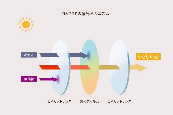 アーツの偏光レンズの仕組み構造