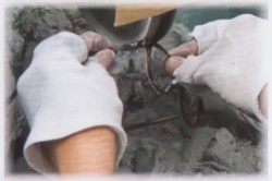 メガネフレームの素材の艶を出すための下地を整える作業