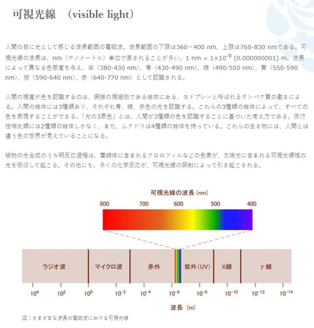 紫外線と可視光線の波長域の範囲（東邦大学 理学部  >  生物分子科学科 のデータ）