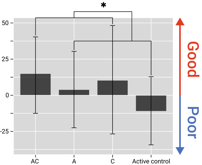 D-CAT 注意力検査の結果