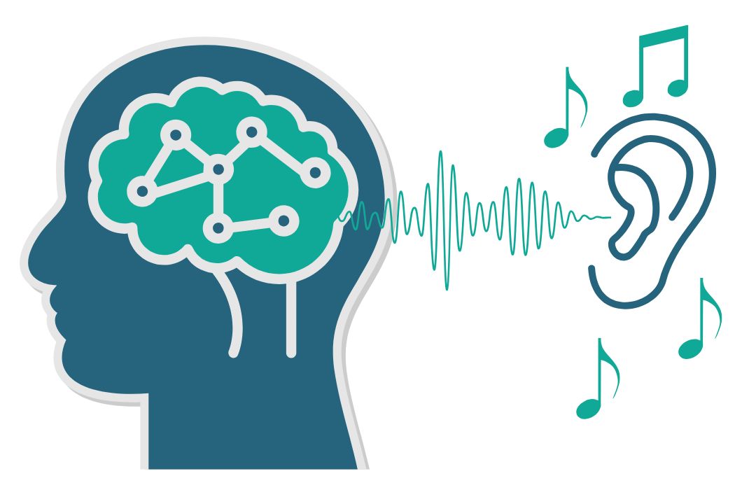 耳から入る音は脳への刺激