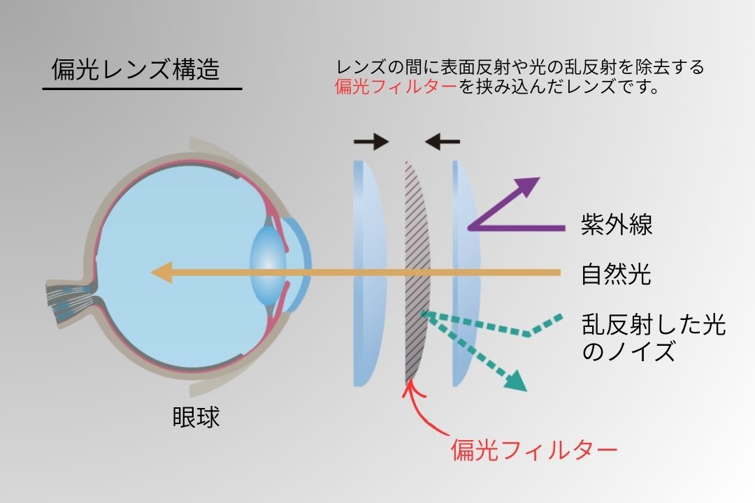 偏光レンズの構造 偏光フィルムをサンドイッチした断面図イラスト