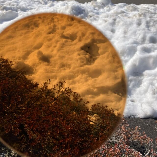 KODAK InstaShades Camel キャメル 調光レンズ 発色 屋外